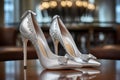 elegant pair of heels in metallic silver, with crystal accents and bow