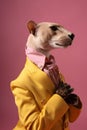 Elegant panter wearing colorful clothes on a pink background. Generative AI