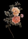 Elegant pastel colors flower arrangement