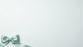 Elegant pastel green silk bow on light gray background Royalty Free Stock Photo