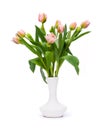 Elegant pastel pink Dreamer tulips spring bouquet in white vase on white background. Spring tulips.