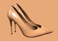 Elegant patent leather pumps. High heel shoes Royalty Free Stock Photo