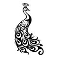 elegant peacock silhouette vector art Royalty Free Stock Photo