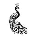 elegant peacock silhouette vector illustration Royalty Free Stock Photo