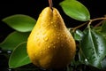 Elegant Pear Drops: Pears with Water Droplets on a Black Background with Leaves - Generative AI Royalty Free Stock Photo