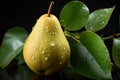 Elegant Pear Drops: Pears with Water Droplets on a Black Background with Leaves - Generative AI Royalty Free Stock Photo