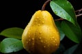 Elegant Pear Drops: Pears with Water Droplets on a Black Background with Leaves - Generative AI Royalty Free Stock Photo