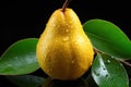 Elegant Pear Drops: Pears with Water Droplets on a Black Background with Leaves - Generative AI Royalty Free Stock Photo