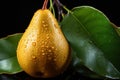 Elegant Pear Drops: Pears with Water Droplets on a Black Background with Leaves - Generative AI Royalty Free Stock Photo