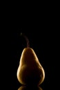 Elegant pear isolated on black background with backlighting Royalty Free Stock Photo