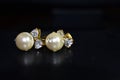 Elegant pearl pearl earrings for ladies