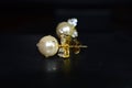 Elegant pearl pearl earrings for ladies