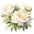 Elegant Peony Watercolor Painting With White Love Flowers