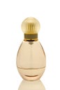 Elegant perfume bottle Royalty Free Stock Photo