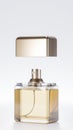 Elegant perfume bottle premium photo 3d render