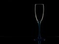 Elegant picture of champagne glass