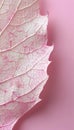 Elegant pink leaf skeleton texture background for creative design projects and artistic endeavors. Royalty Free Stock Photo