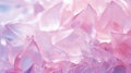 Elegant pink petals in ice. Delicate texture. Frosty beautiful natural winter or spring background. A visual symphony of