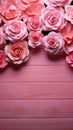 Elegant pink roses form a charming frame against a pink wooden backdrop