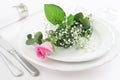 Elegant Place Setting Royalty Free Stock Photo