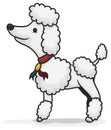 Elegant Poodle Posing for a Photoshoot Session, Vector Illustration