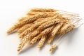 Elegant presentation of oat sheafs on a clean, white surface Royalty Free Stock Photo