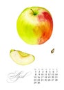 Elegant printable calendar 2019. April. Watercolor Apple. Botanical art. Template for a banner, notebook, cosmetics