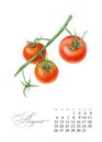 Elegant printable calendar 2019. August. Watercolor cherry tomatoes. Botanical art. Template for a banner, notebook