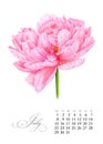 Elegant printable calendar 2019. July. Watercolor pink peony. Botanical art. Template for a banner, notebook, cosmetics