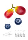 Elegant printable calendar 2019. June. Watercolor grapes, blueberries. Botanical art. Template for a banner, notebook