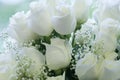 Elegant pure white roses Royalty Free Stock Photo