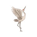 Elegant red-crowned crane standing on one leg with wide open wings. Wild bird with long beak. Flat vector icon Royalty Free Stock Photo