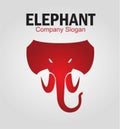 Elephant. Elephant elegant head Royalty Free Stock Photo