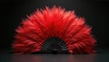 Elegant red feather fan stands open against a dark backdrop. Delicate red feathers create a bold statement. This accessory Royalty Free Stock Photo