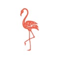 Elegant red flamingo standing on one paw decorative design grunge texture vector illustration Royalty Free Stock Photo