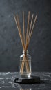 Elegant Reed Diffuser on Dark Background Royalty Free Stock Photo