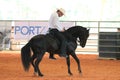 Elegant rider on black pasofino horse at the rodeo