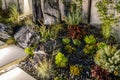 Elegant Rockery Garden Illuminated by Outdoor LED Light