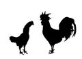 Elegant Rooster and chicken vector silhouette illustration isolated on white background. Male chicken and hen, organic food. Farm Royalty Free Stock Photo