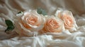 Elegant Roses on Pristine White for Serene Mornings