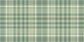 Elegant sage green and cream plaid pattern. Perfect for textile design, apparel, home decor, and website backgrounds. Subtle
