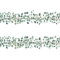 Elegant seamless borders of eucalyptus branches. Floral frame or greeting card. Vector Royalty Free Stock Photo
