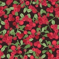 Elegant seamless pattern with arctic lingonberry on dark background. Backdrop with boreal forest berry. Natural vector