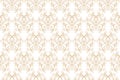 Elegant Seamless Pattern of Floral Vintage CLassic Vines Royalty Free Stock Photo