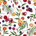 Elegant seamless pattern with fresh goji, acai, guarana, physalis fruits and berries on white background. Backdrop with