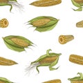 Elegant seamless pattern with realistic cobs of sweet corn with and without leaves hand drawn on white background