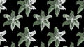 Elegant seamless pattern with white lilies and green foliage on black background Royalty Free Stock Photo