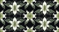 Elegant seamless pattern with white lilies and green foliage on black background Royalty Free Stock Photo