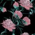 Elegant seamless peony pattern on black background. Floral tile pattern for vintage design. Royalty Free Stock Photo