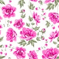 Elegant seamless peony pattern.